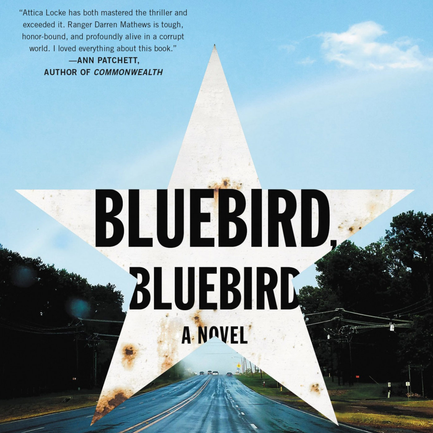 Episode 15: Bluebird, Bluebird
